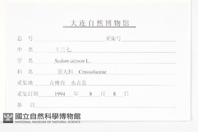 費菜藏品圖，第3張