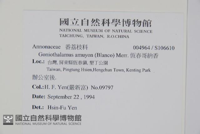 恆春哥納香藏品圖，第2張