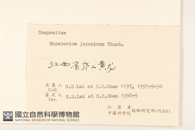 佩蘭、澤蘭藏品圖，第3張