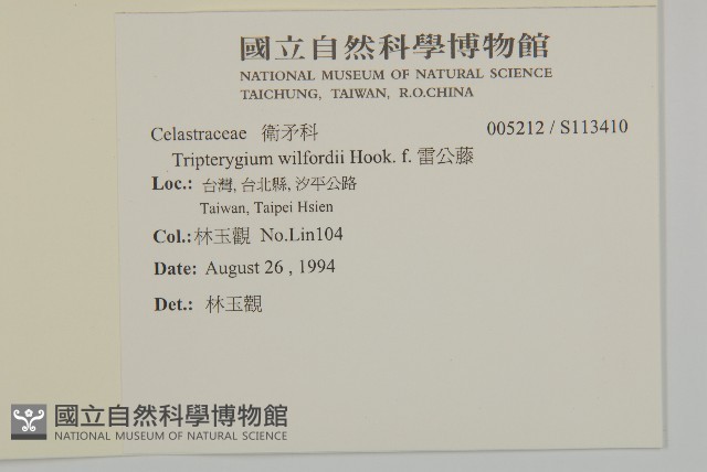 雷公藤藏品圖，第2張
