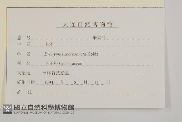 衛矛藏品圖，第3張