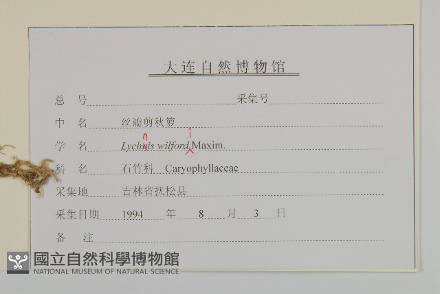 絲瓣剪秋籮藏品圖，第3張