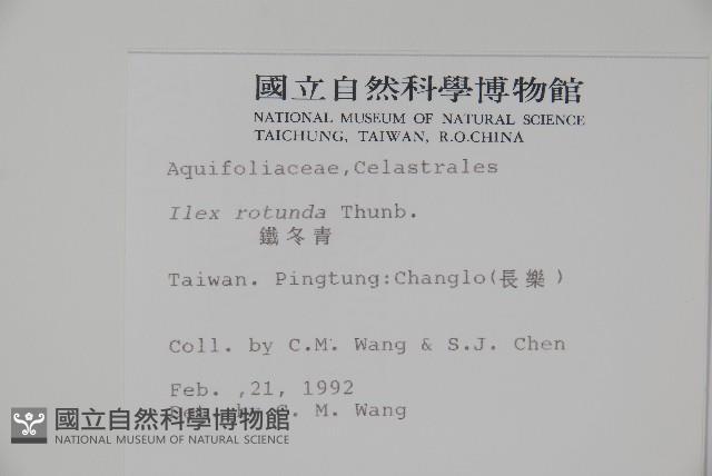 鐵冬青藏品圖，第2張