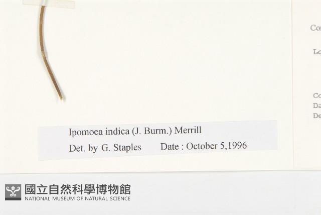 Accession Number:S017450 Collection Image, Figure 3, Total 3 Figures