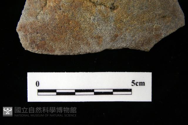 石片器藏品圖，第1張