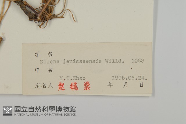 山螞蚱藏品圖，第3張