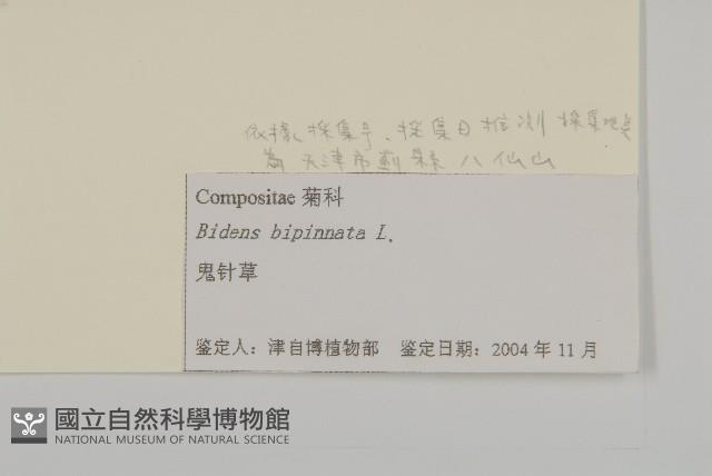 鬼針藏品圖，第3張