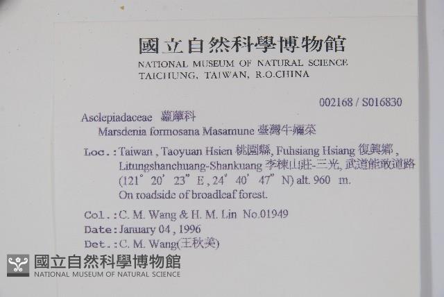 臺灣牛嬭菜藏品圖，第2張