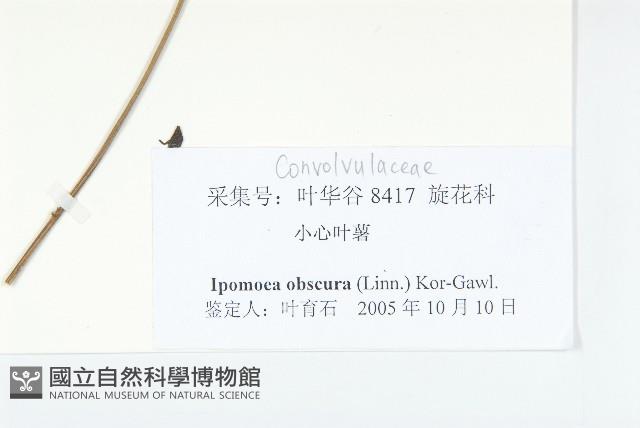 野牽牛藏品圖，第3張