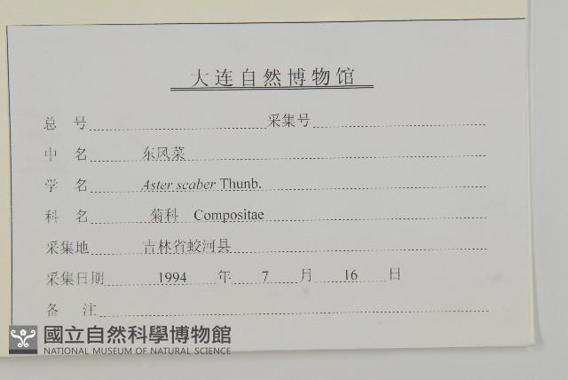 東鳳菜藏品圖，第3張