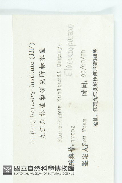 冬桃藏品圖，第3張
