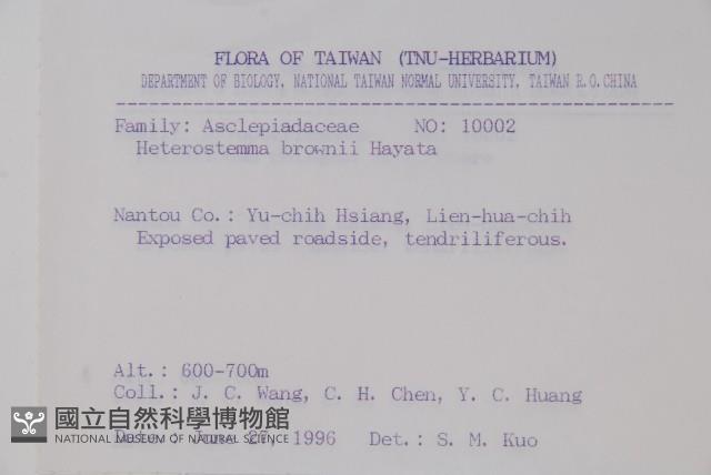 布朗藤藏品圖，第2張