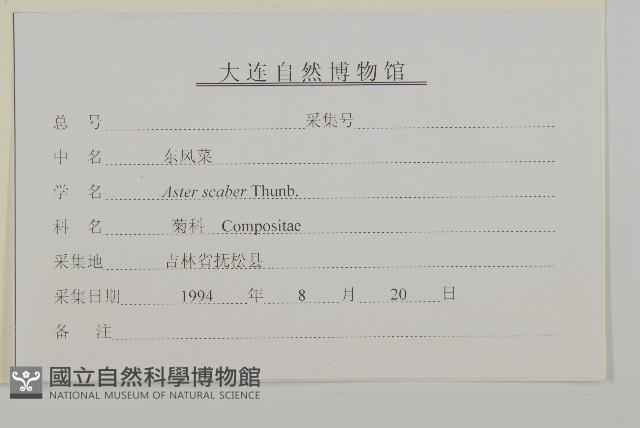 東鳳菜藏品圖，第3張