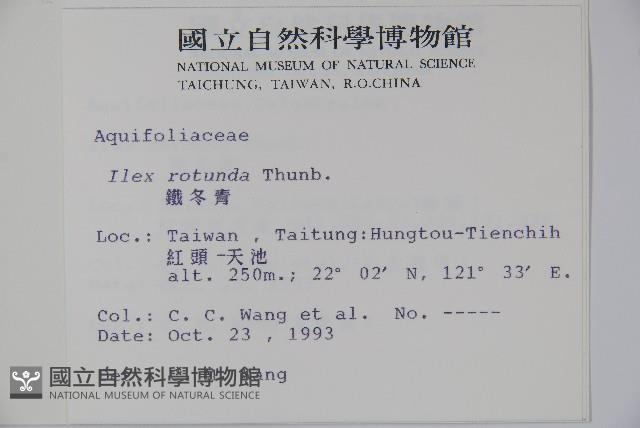 鐵冬青藏品圖，第2張