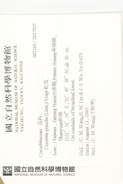 紅瓜藏品圖，第2張