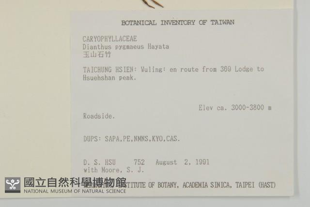 玉山石竹藏品圖，第2張