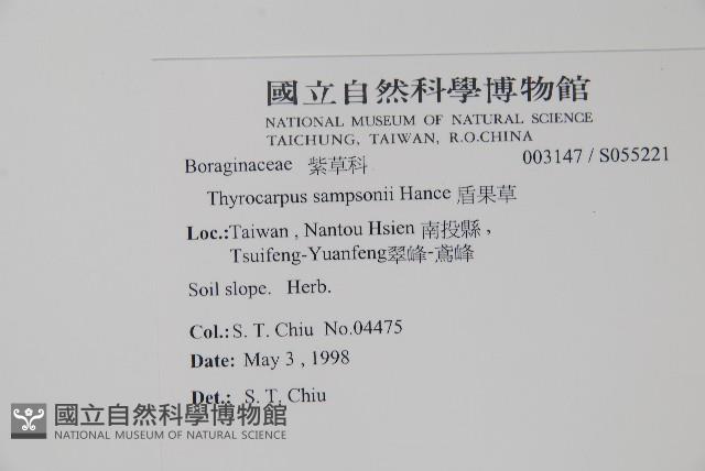 盾果草藏品圖，第2張