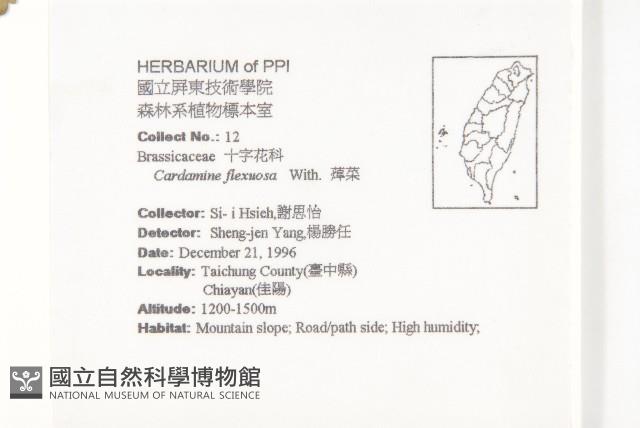 Small-leaved bittercress Collection Image, Figure 2, Total 2 Figures