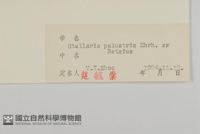 Accession Number:S026321 Collection Image, Figure 3, Total 3 Figures