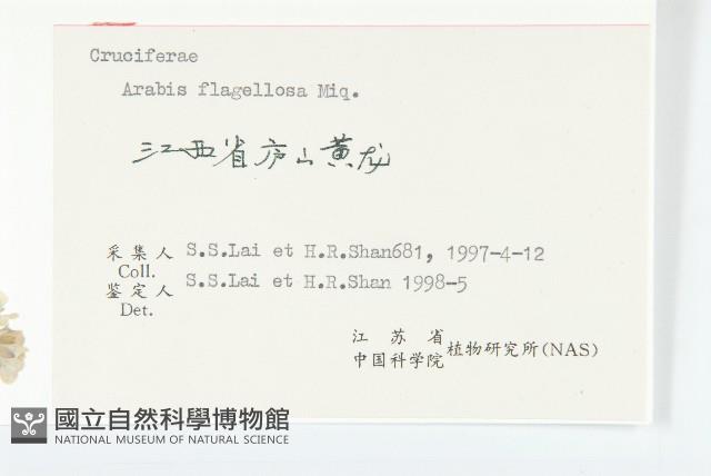 Accession Number:S057921 Collection Image, Figure 6, Total 6 Figures