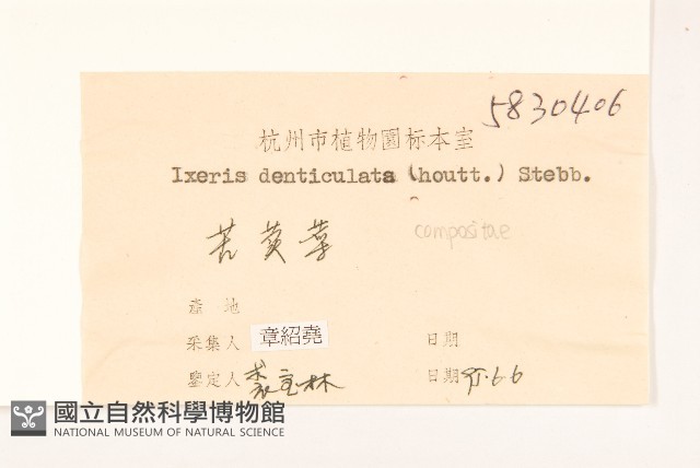 苦實菜藏品圖，第3張