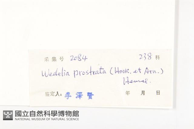 天蓬草舅藏品圖，第3張