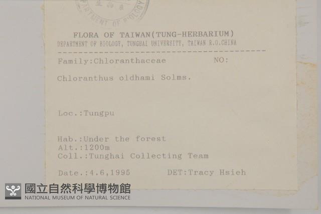 臺灣及己藏品圖，第2張