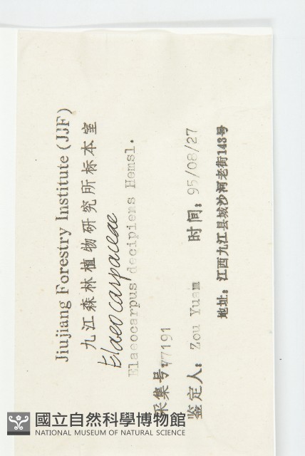 杜英藏品圖，第3張