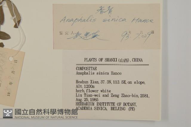 香青藏品圖，第3張