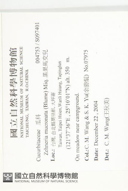 黑果馬交兒藏品圖，第2張