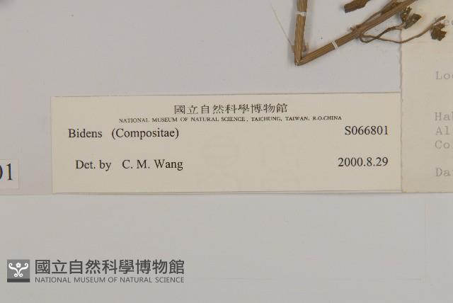 登錄號:S066801藏品圖，第3張