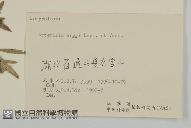 艾蒿藏品圖，第3張