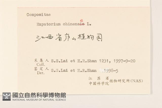 華澤蘭藏品圖，第3張