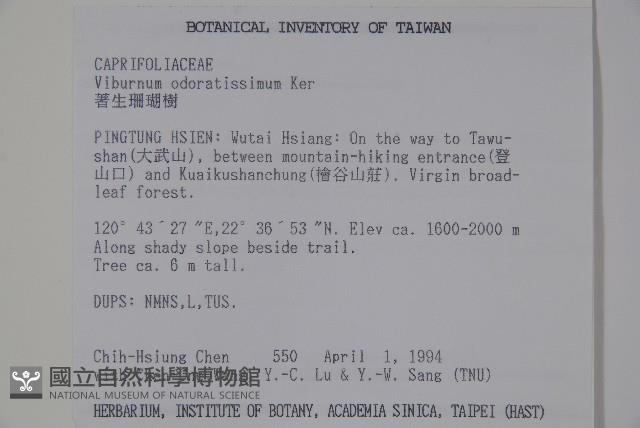Sweet Viburnum Collection Image, Figure 2, Total 2 Figures