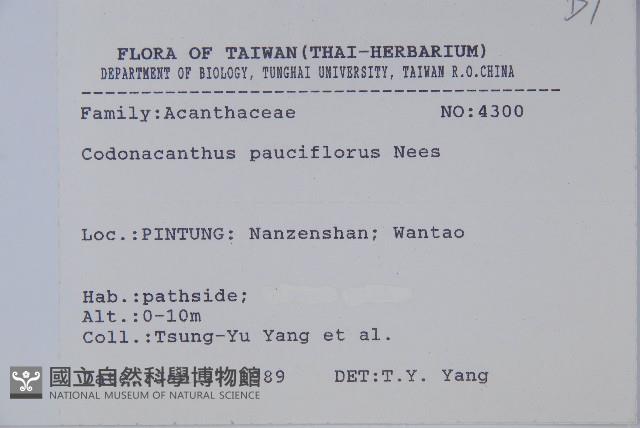 針刺草藏品圖，第2張