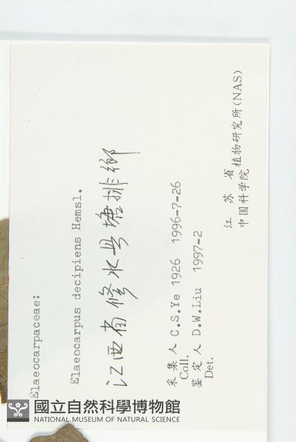 杜英藏品圖，第3張