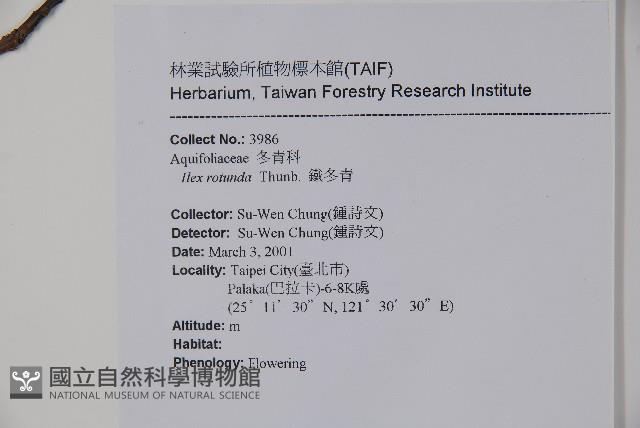 鐵冬青藏品圖，第2張