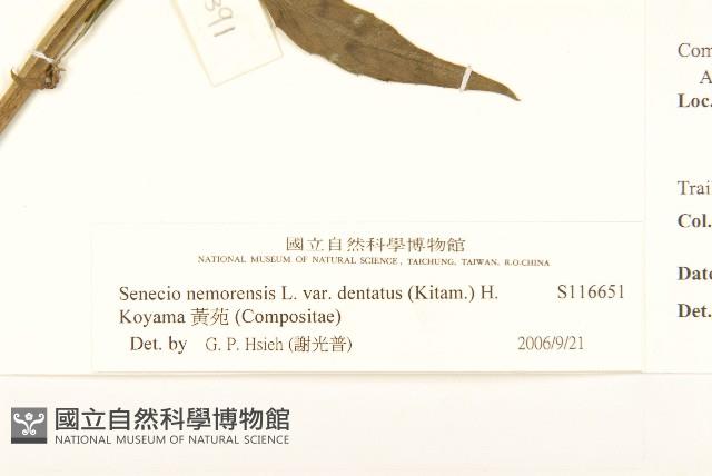 黃菀藏品圖，第3張