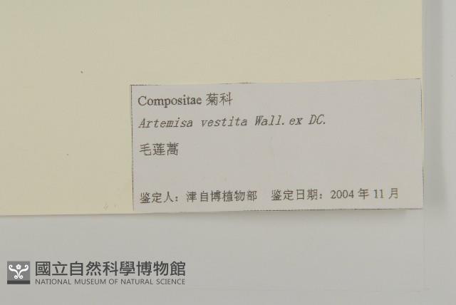 蒿子藏品圖，第3張