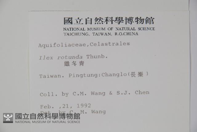 鐵冬青藏品圖，第2張