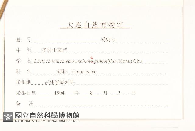 Accession Number:S107691 Collection Image, Figure 3, Total 3 Figures