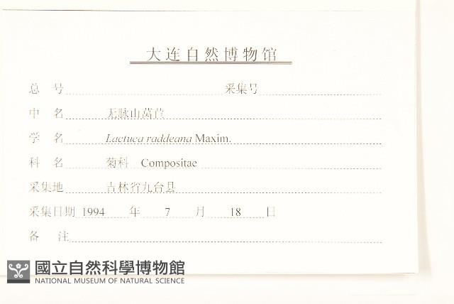 毛脈山蒿苣藏品圖，第3張