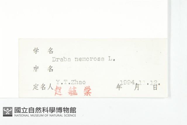 葶藶藏品圖，第3張