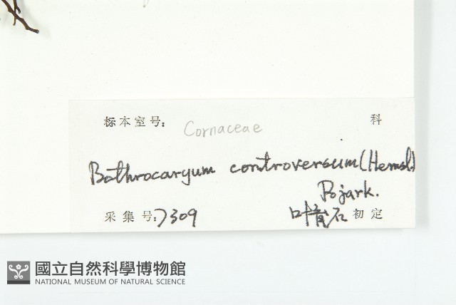 登錄號:S103031藏品圖，第3張
