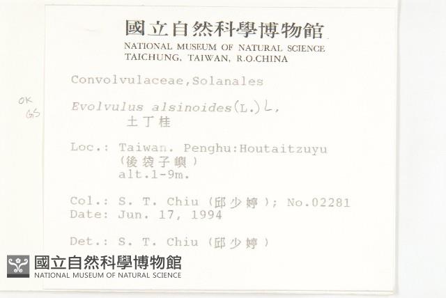 土丁桂藏品圖，第2張