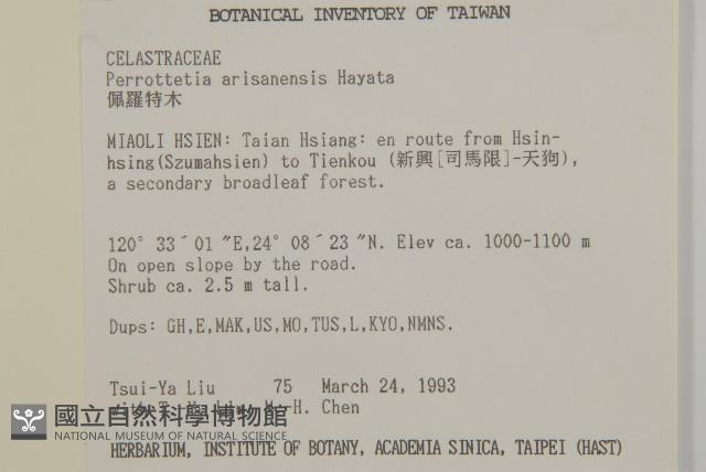 佩羅特木藏品圖，第2張