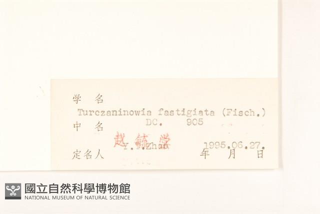 女菀藏品圖，第3張