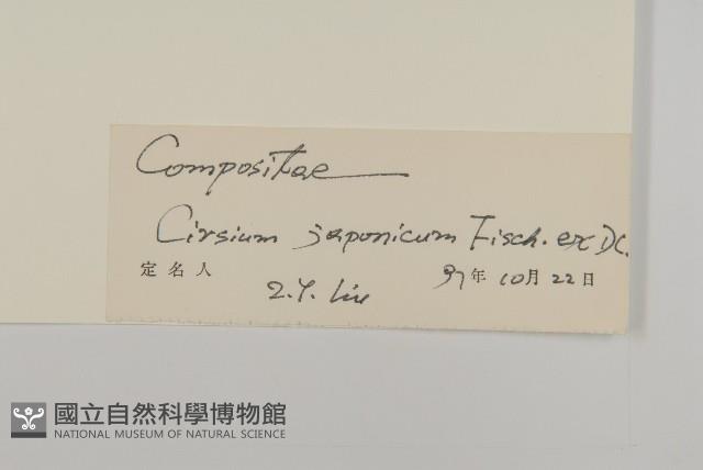 小薊藏品圖，第3張