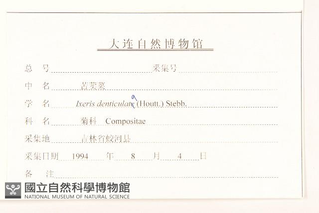 苦實菜藏品圖，第3張