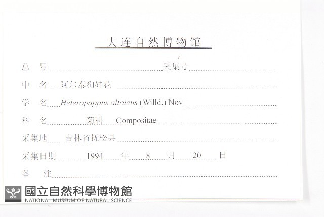 阿爾泰狗哇花藏品圖，第3張